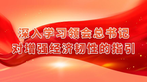 深入学习领会总书记对增强经济韧性的指引